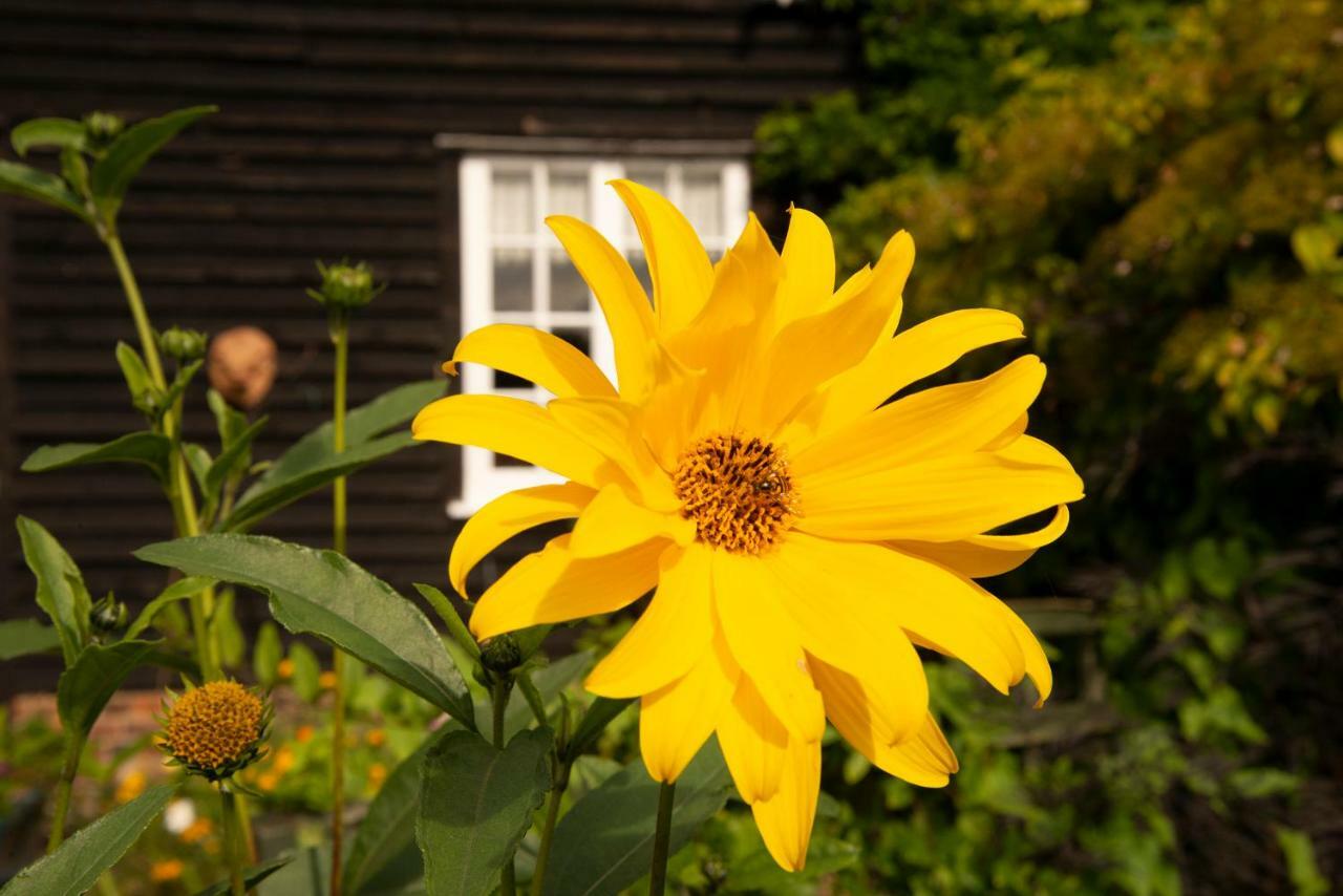 China Farm Barn Bed & Breakfast 4*